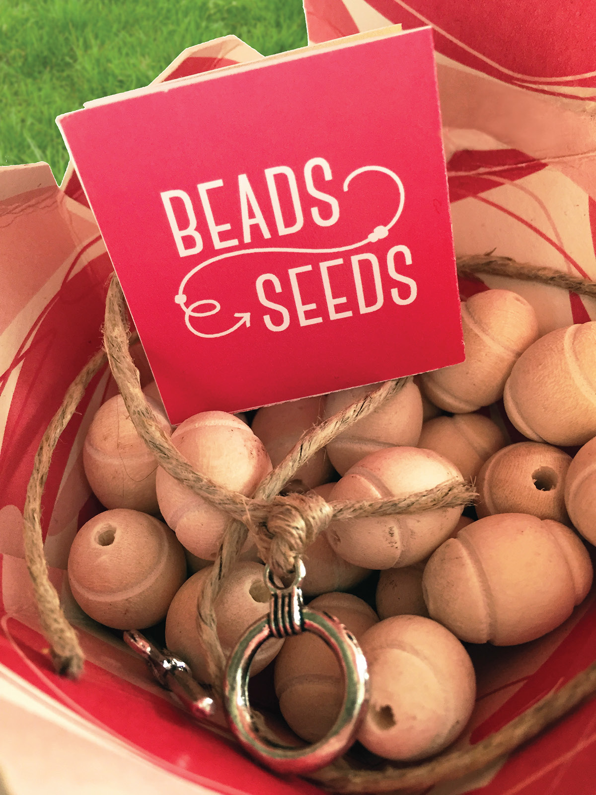 umsl amyjanedesigns Logo Design beads to seeds