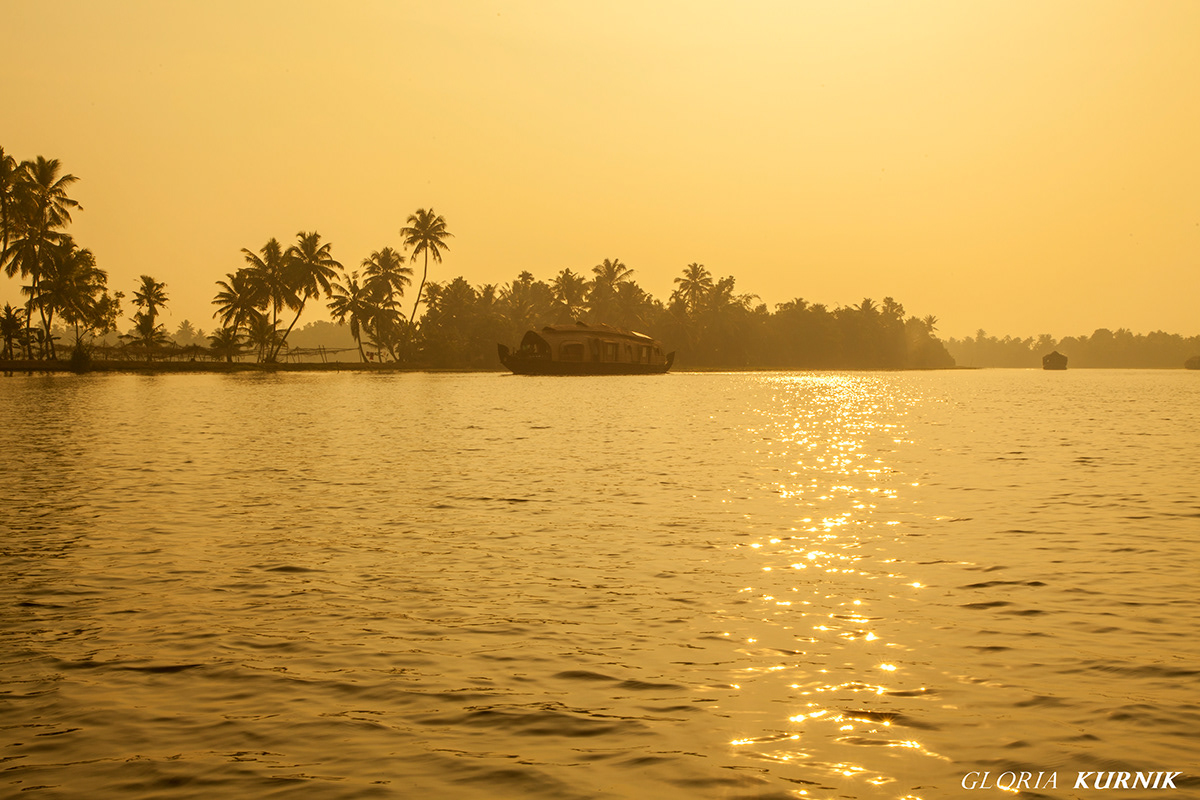 kerala  India  South India  tourism   water  backwaters  boat  sunset  sunrise  fishing nets  chinese  fisherman  landskape  portrait  day