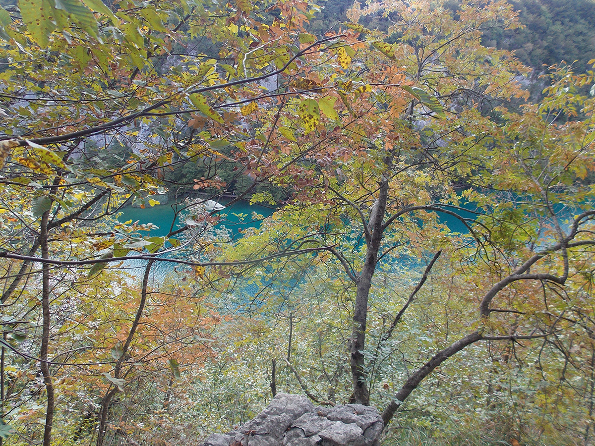 Croatia Emerald Lakes lakes Landscape Nature Photography  plitvice SVASILLIORF