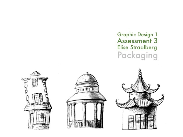 Packaging ILLUSTRATION  design graphicdesign