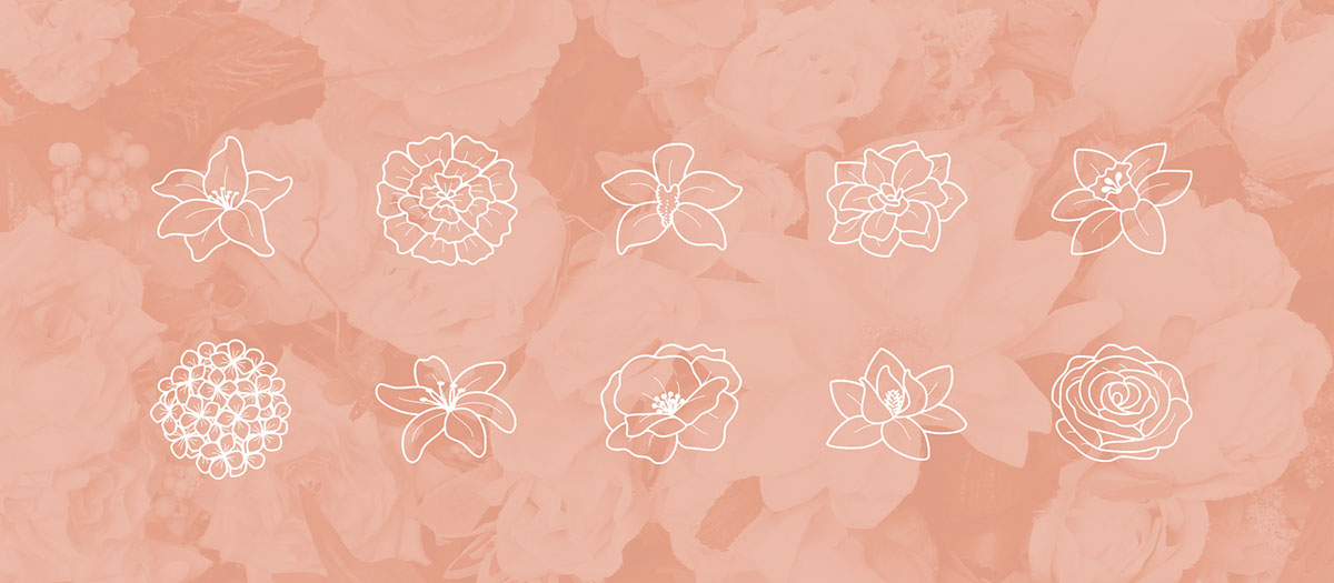 Icon design graphic Web flower website Flowers language