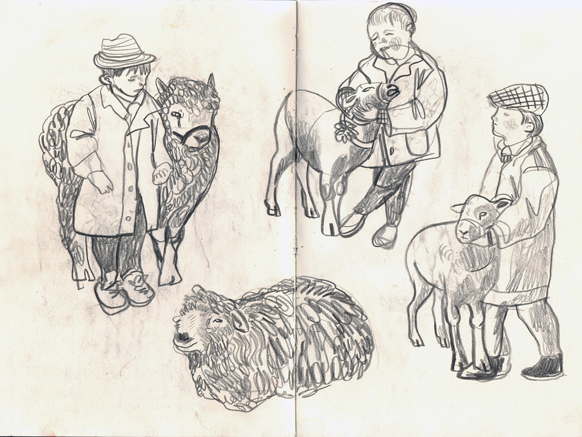 Gys   yorkshire North Yorkshire farm animals english countryside countryside sketching sketchbook sketch sketching on spot