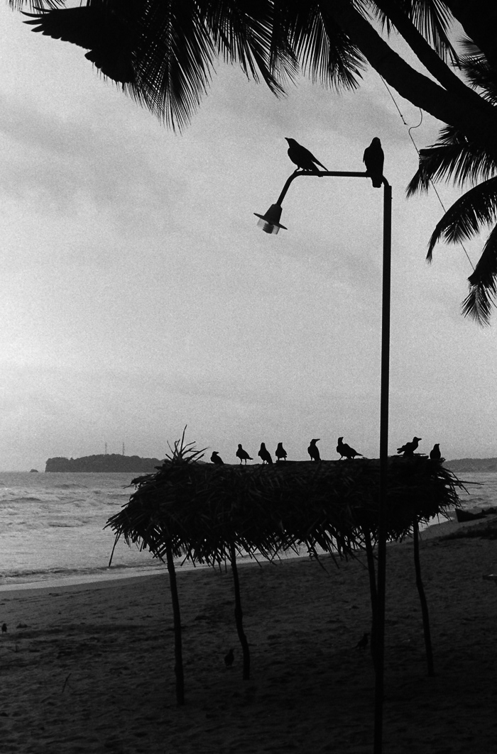 Sri lanka film photography