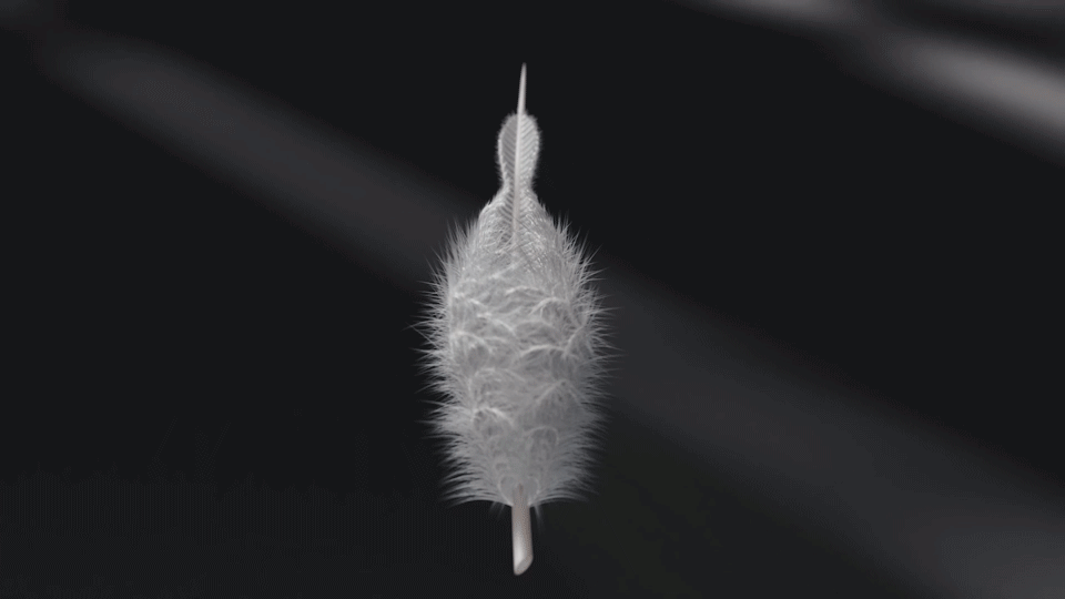 feather mobile motion design motion graphics  product video vfx xiaomi