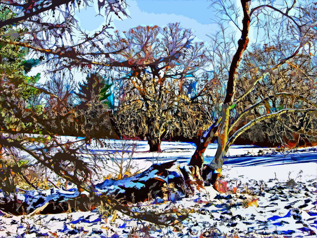 prints winter perception