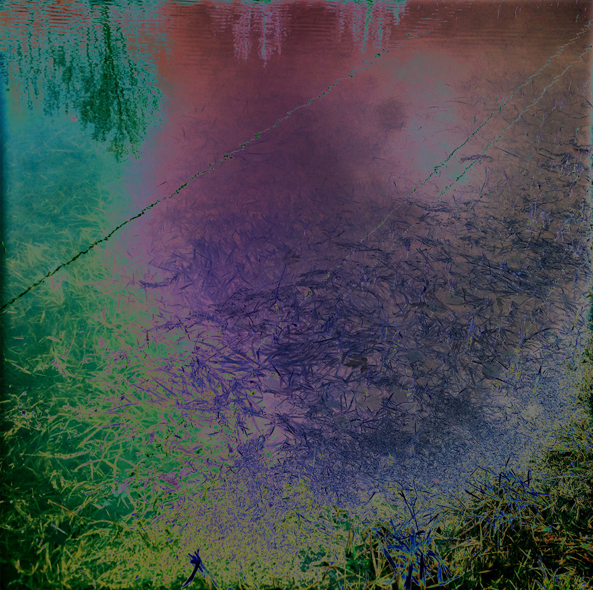 abstract dark colors neon Paintings pond grass
