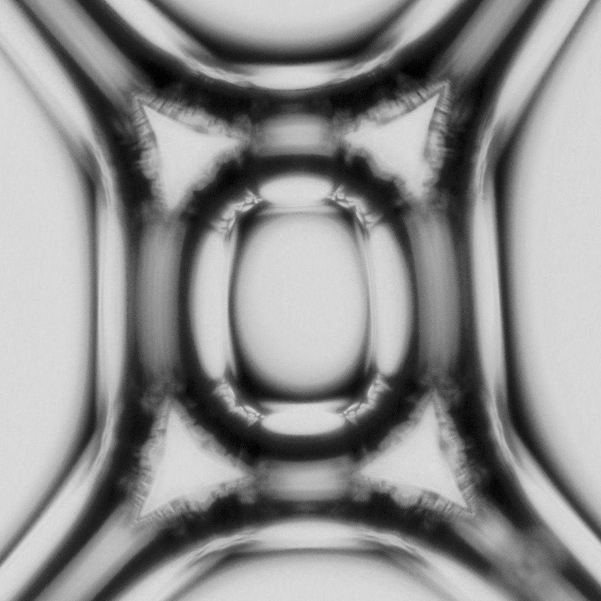 microscope abstract photomicrography fine art kaleidoscope