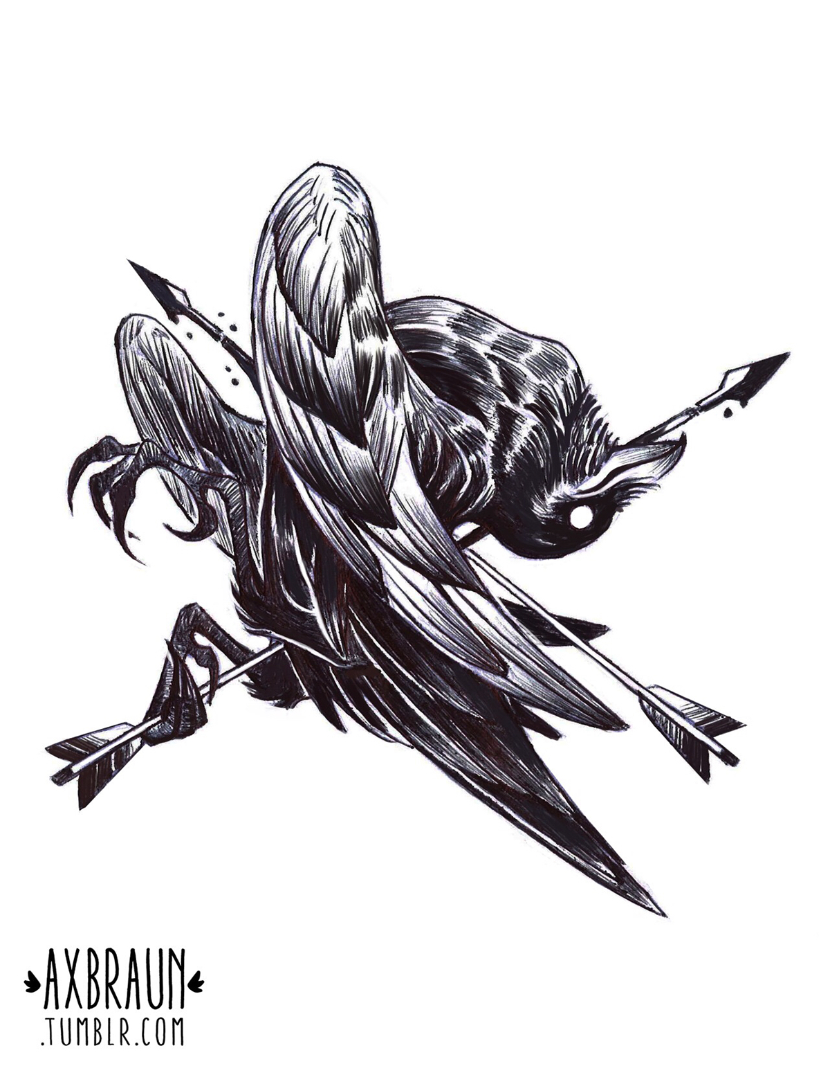 pen pencil ink ILLUSTRATION  bird raven arrow stag deer tiger crown