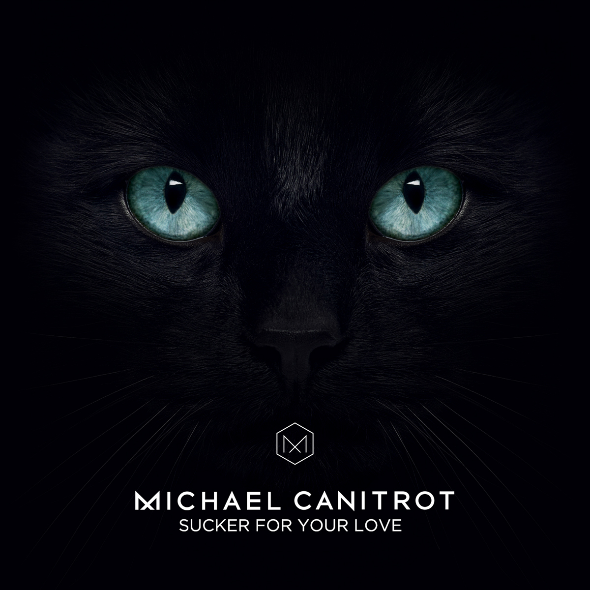 black michael canitrot Cat