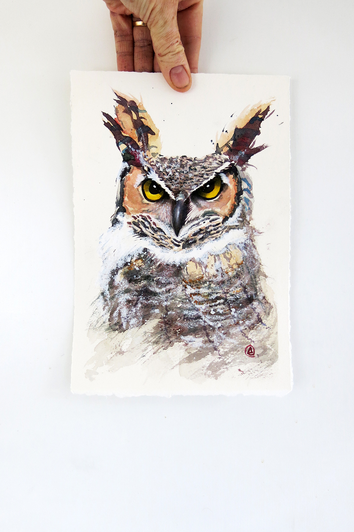 watercolor long eared owl owls portrait owl eyes looking feathers beak painting  