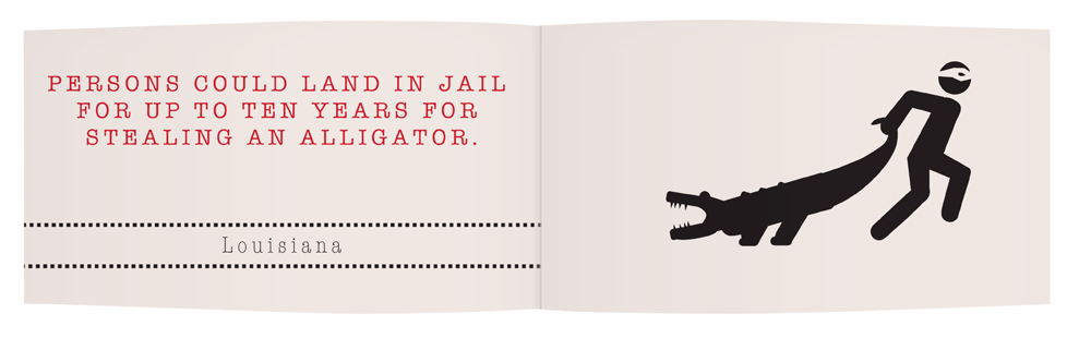 Adobe Portfolio Self Promo little book illegal LAWS