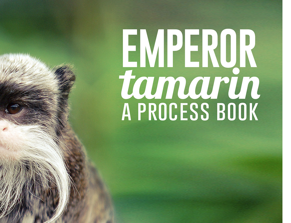 zoo symbolform wayfinding system zoo symbol emperor tamarin Process Book endangered HAND LETTERING