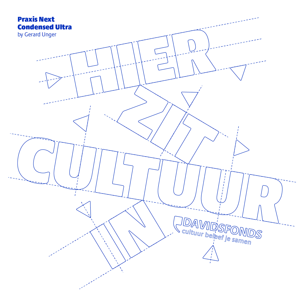 Davidsfonds typografie type Tote Bag culture Cultural organisation typography   screen print Leuven