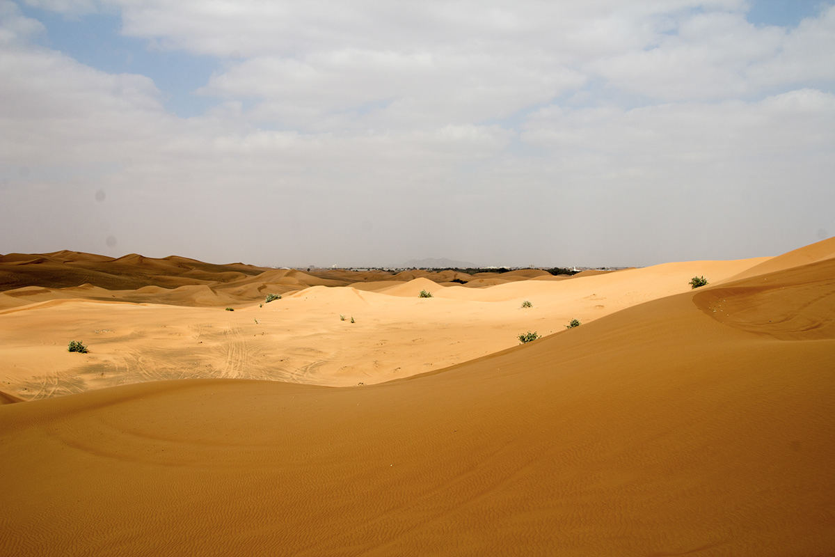 Desert Ride - desert sand