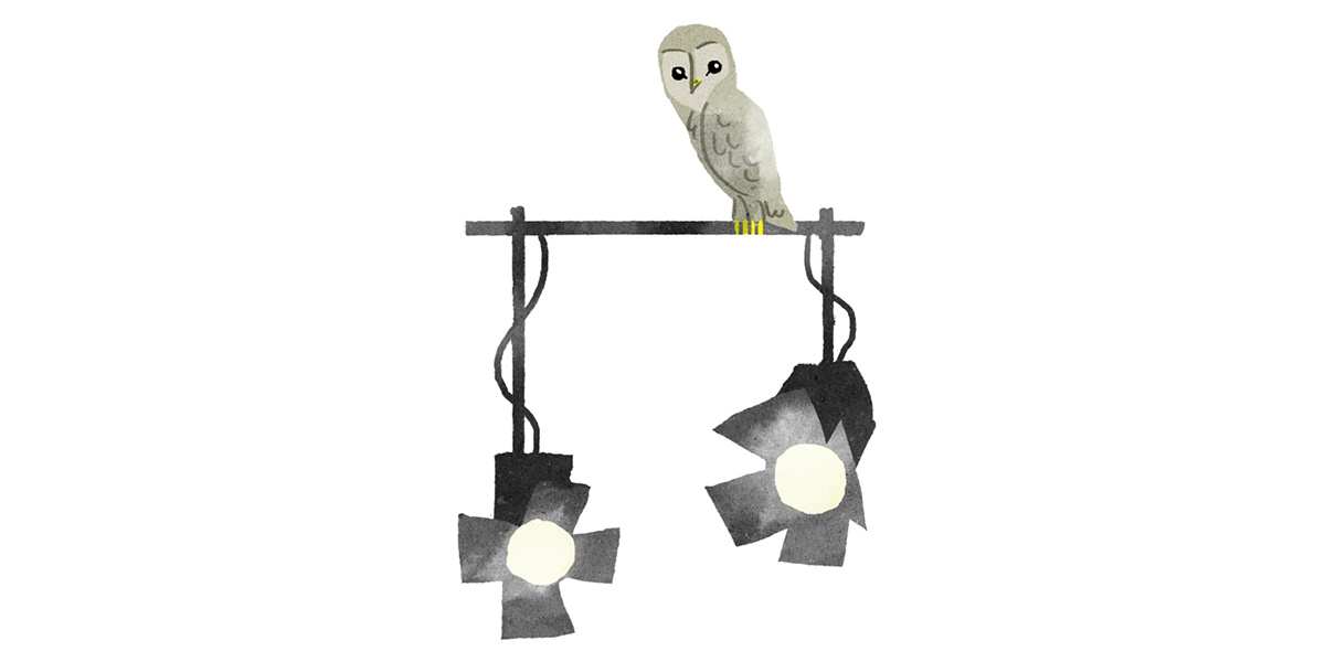 rte login doodle characters television camera woman props tan makeup Nidge Stage owl lights studio