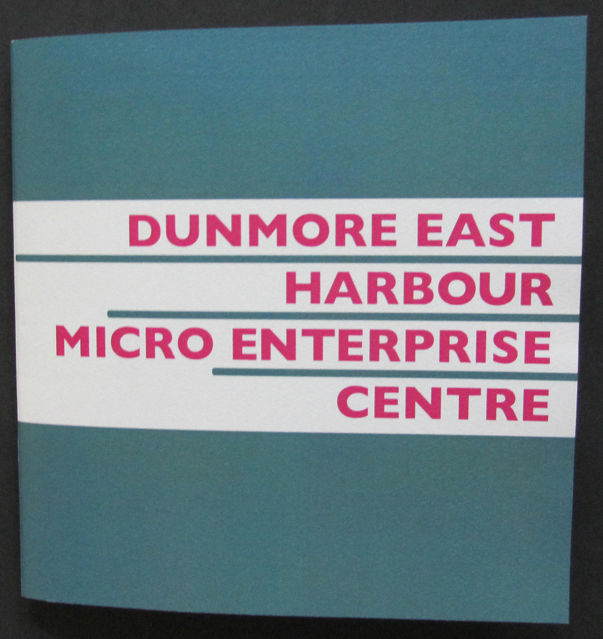 Dunmore East Harbour brochure design booklet design illustrations fishing micro enterprise centre center corporate booklet quirky green pink yellow booklet layout brochure layout Double Page Spread