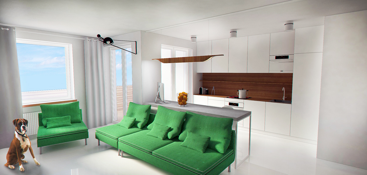 apartment flat reconstruction residential