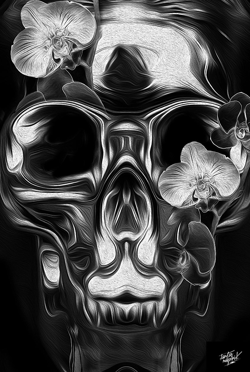fantasmagorik nicolas obery dark BLACK CURIOOS skull chrome STEAMPUNK black fantastic anatomie crane super heros comics metal