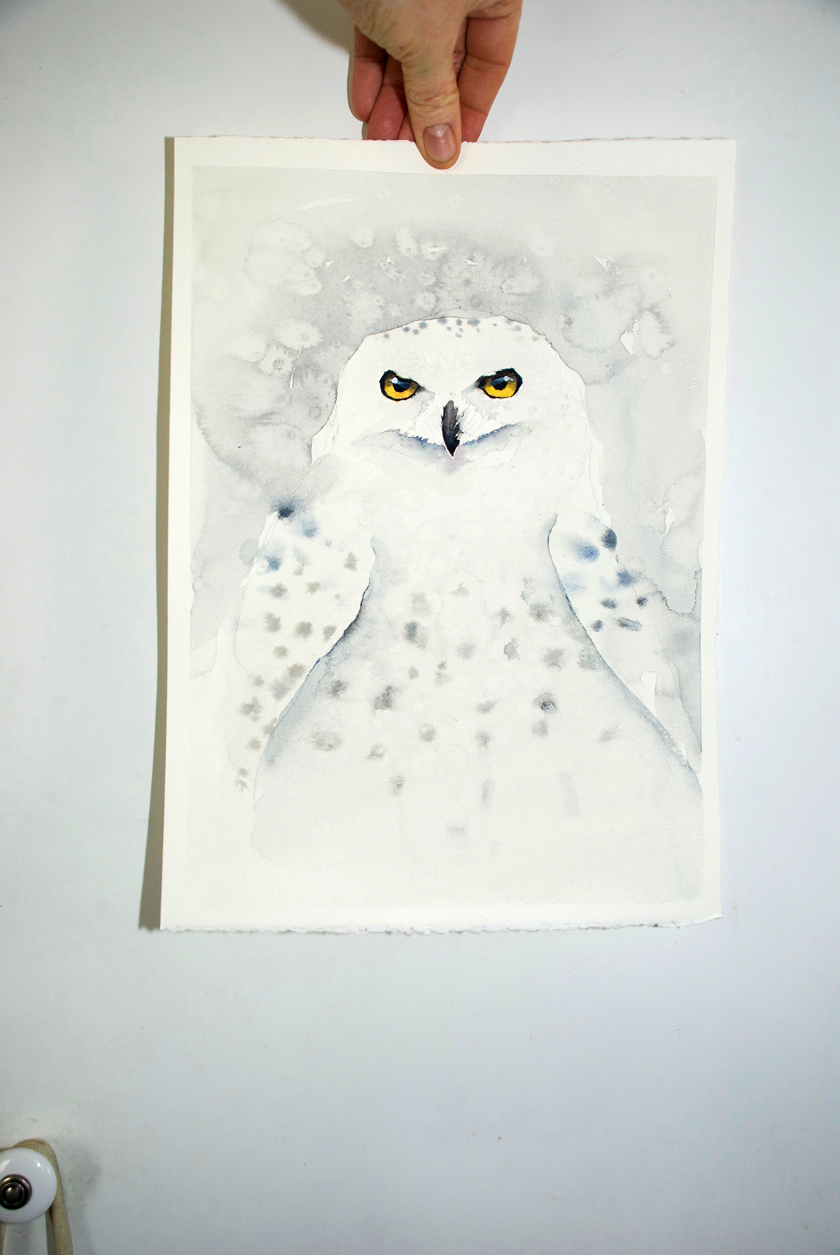 watercolor Snowy owl owls owl