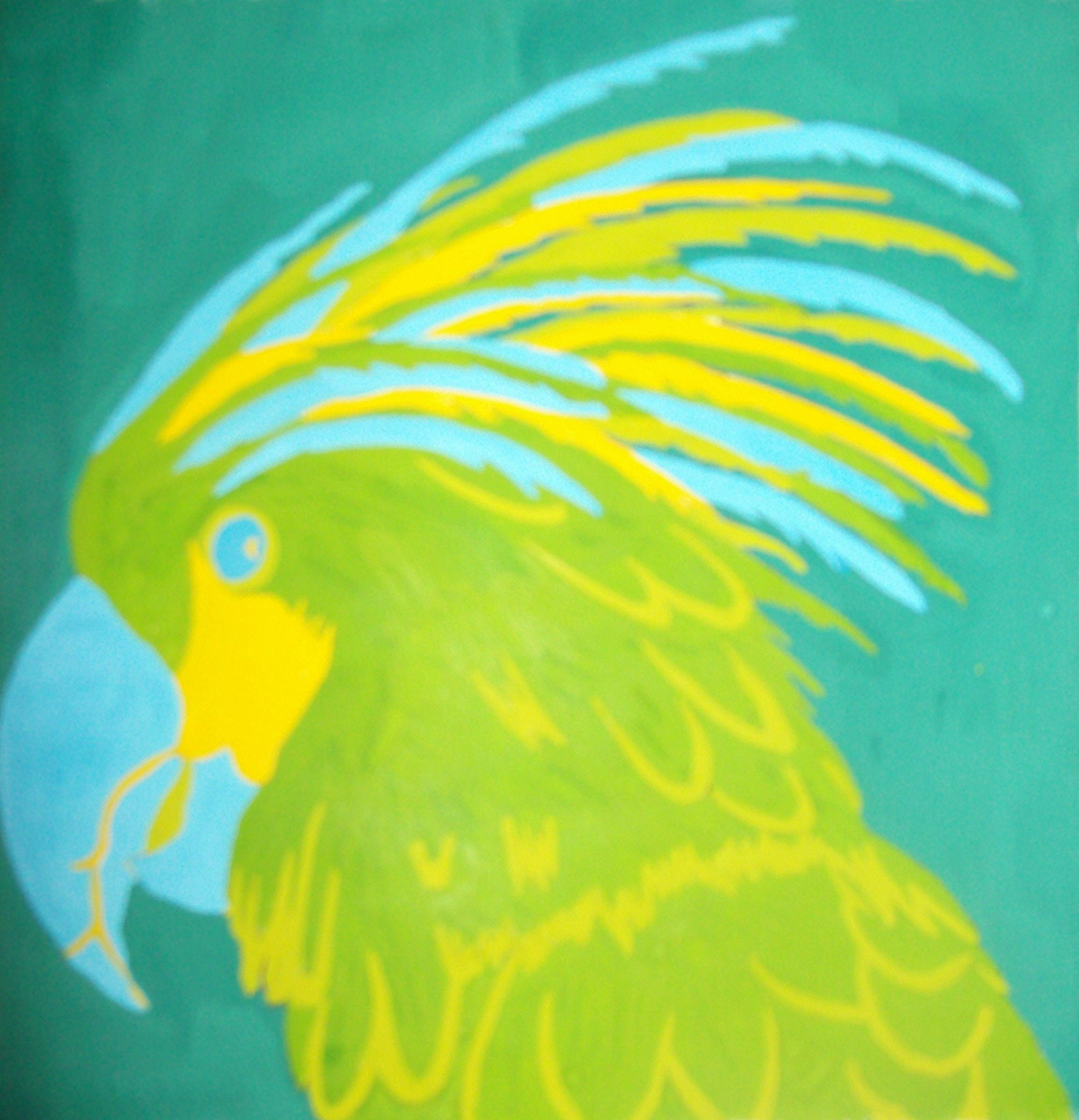 parrots gouache colours JND discordant Harmony