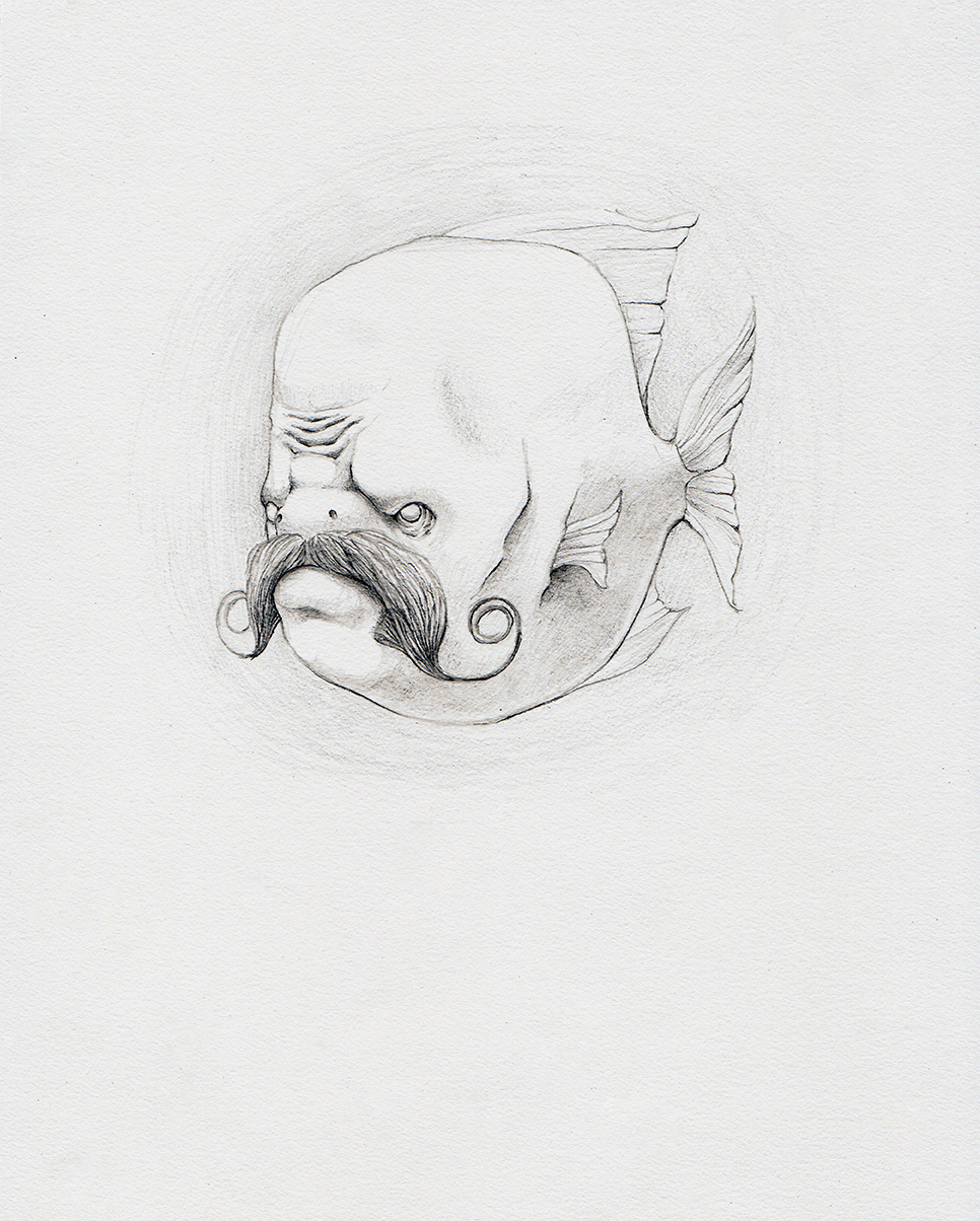 fish beards beard art graphite pencil James McKain facial hair