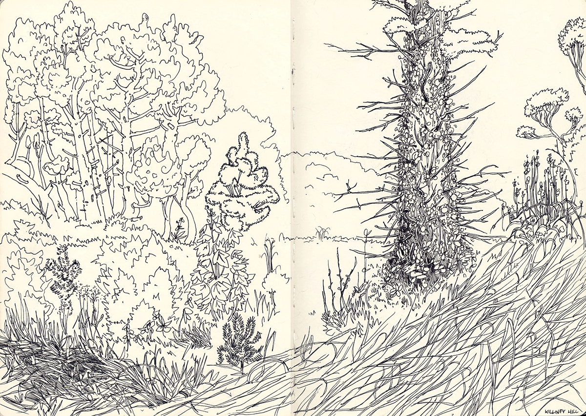 nib watercolor ink fine liner concepts moleskine Nature trees places portrait