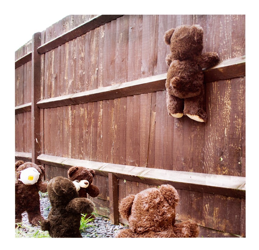 Teddy bear camera photo design escape away storm Thorgerson