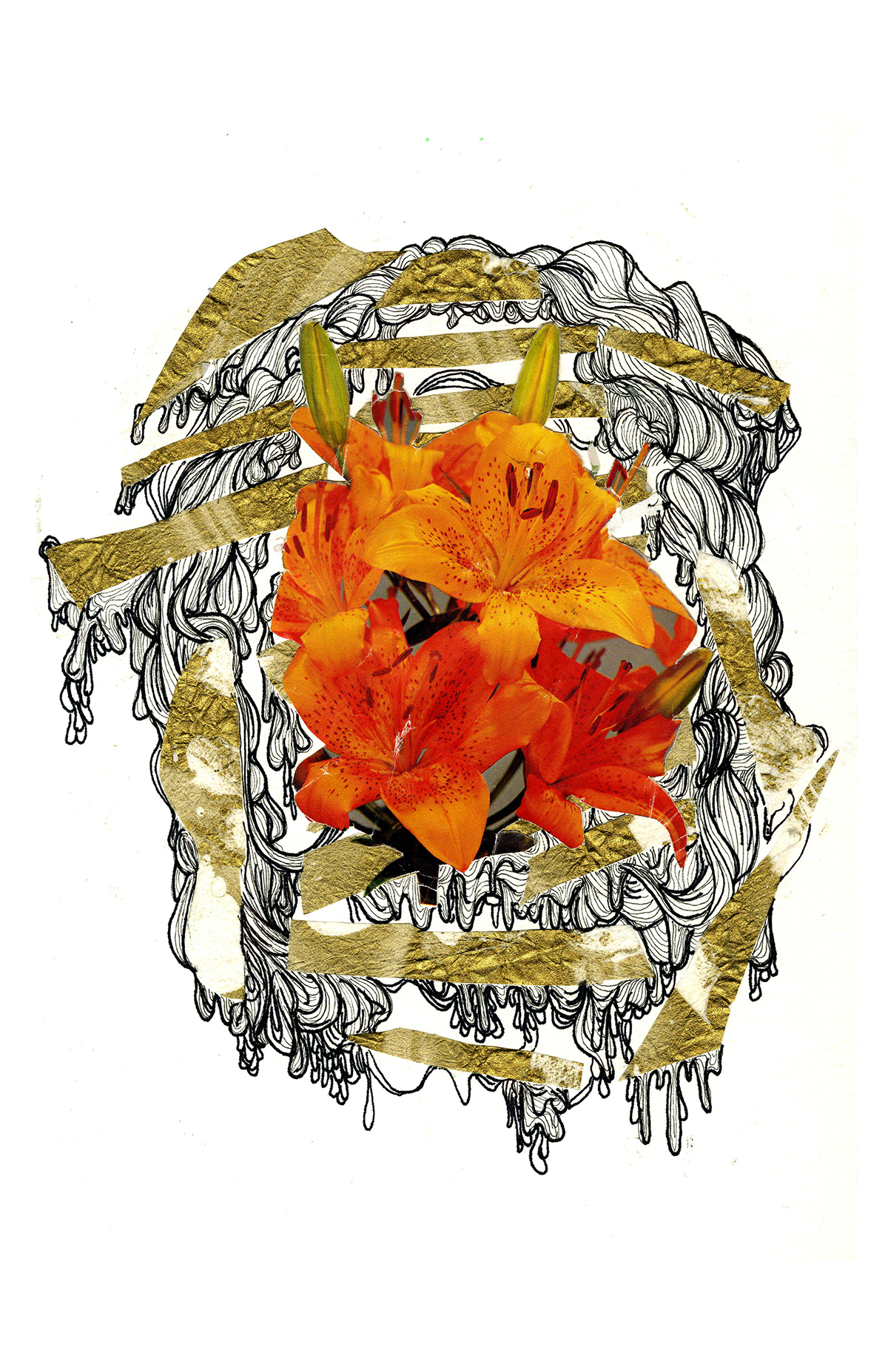 collage Flowers linework ink orange lily abstract cool trippy whimsical