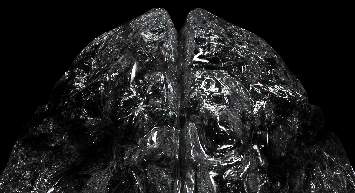 brain china head x ray Genes CGI 3D