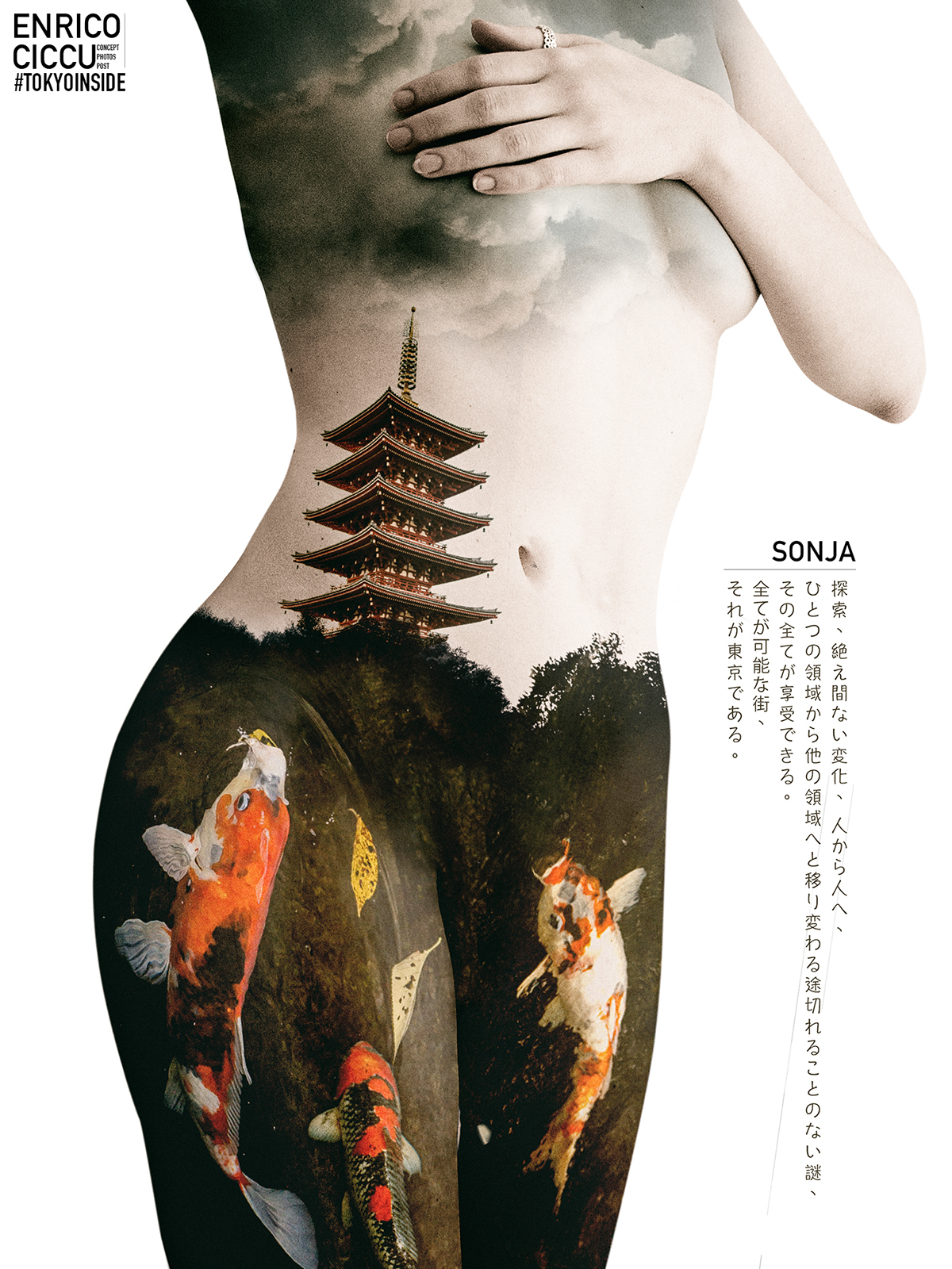 tokyo japan SHIBUYA koi art compositing design visual naked