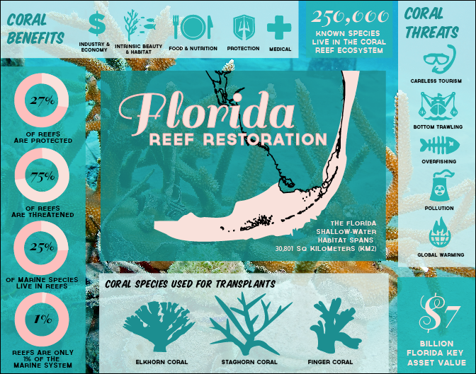 coral reefs infographics infographic florida reefs