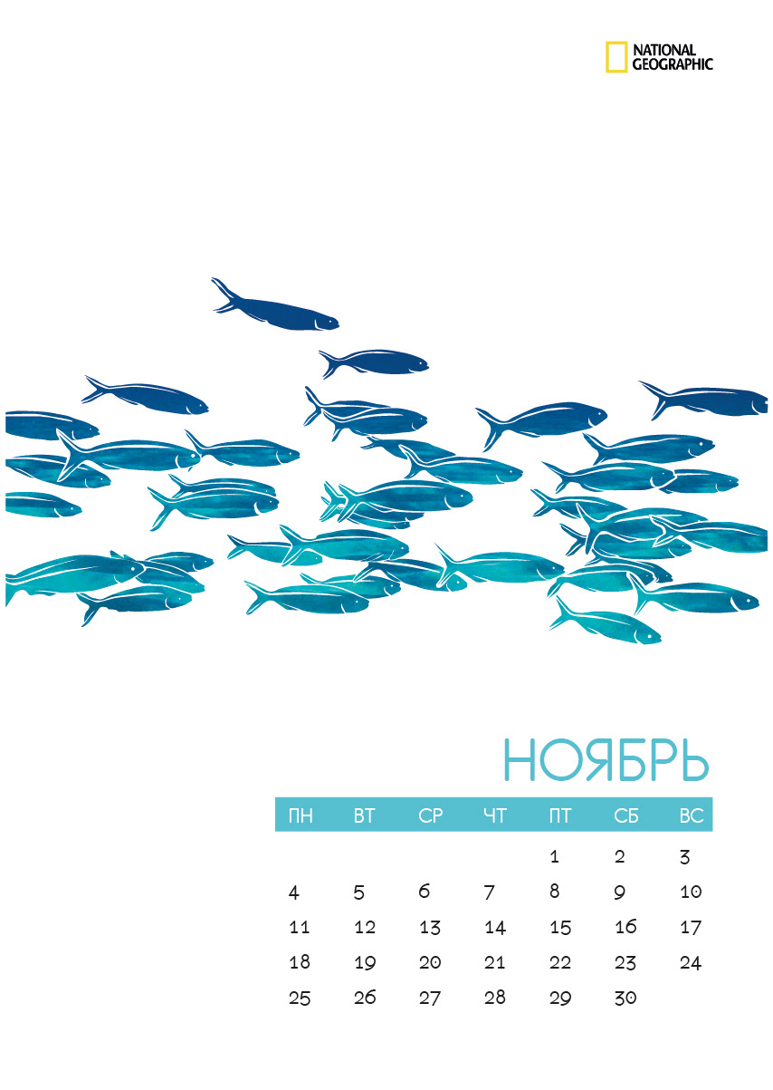 Nature графический дизайн calendar календарь