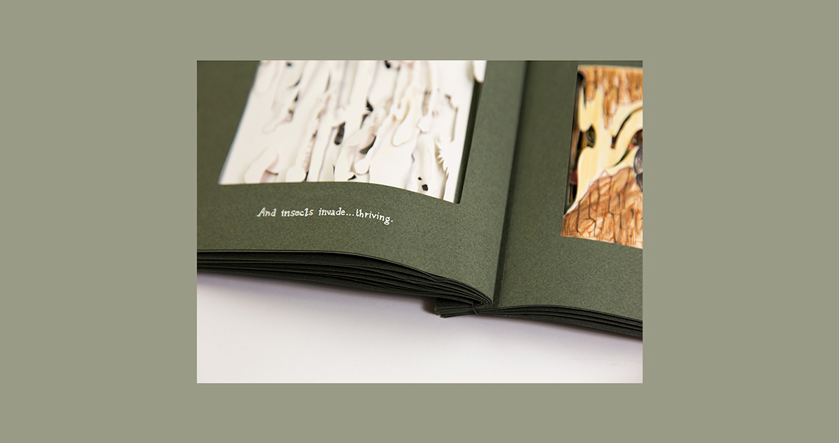 artist book environmental cut paper gouache book design
