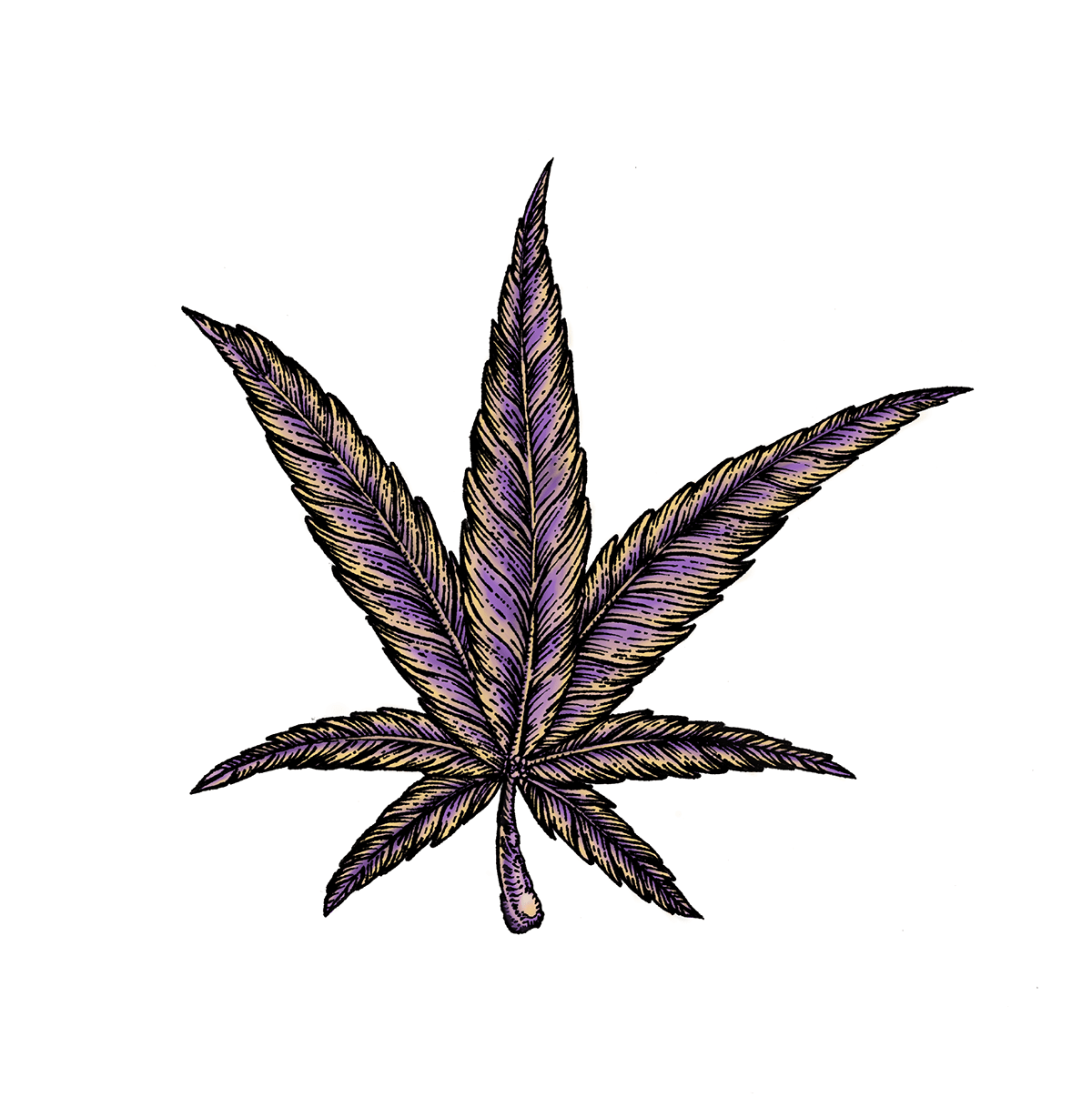 art artwork cannabis Character design  concept art design Digital Art  Drawing  ILLUSTRATION  Logo Design