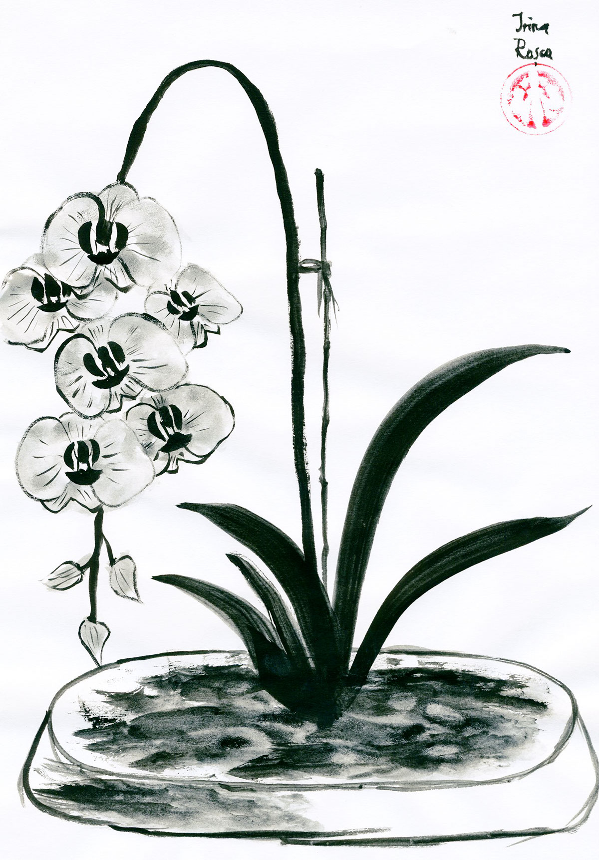 sumi-e ink japanese chinese calligraphy painting black brush stroke wild orchid flower