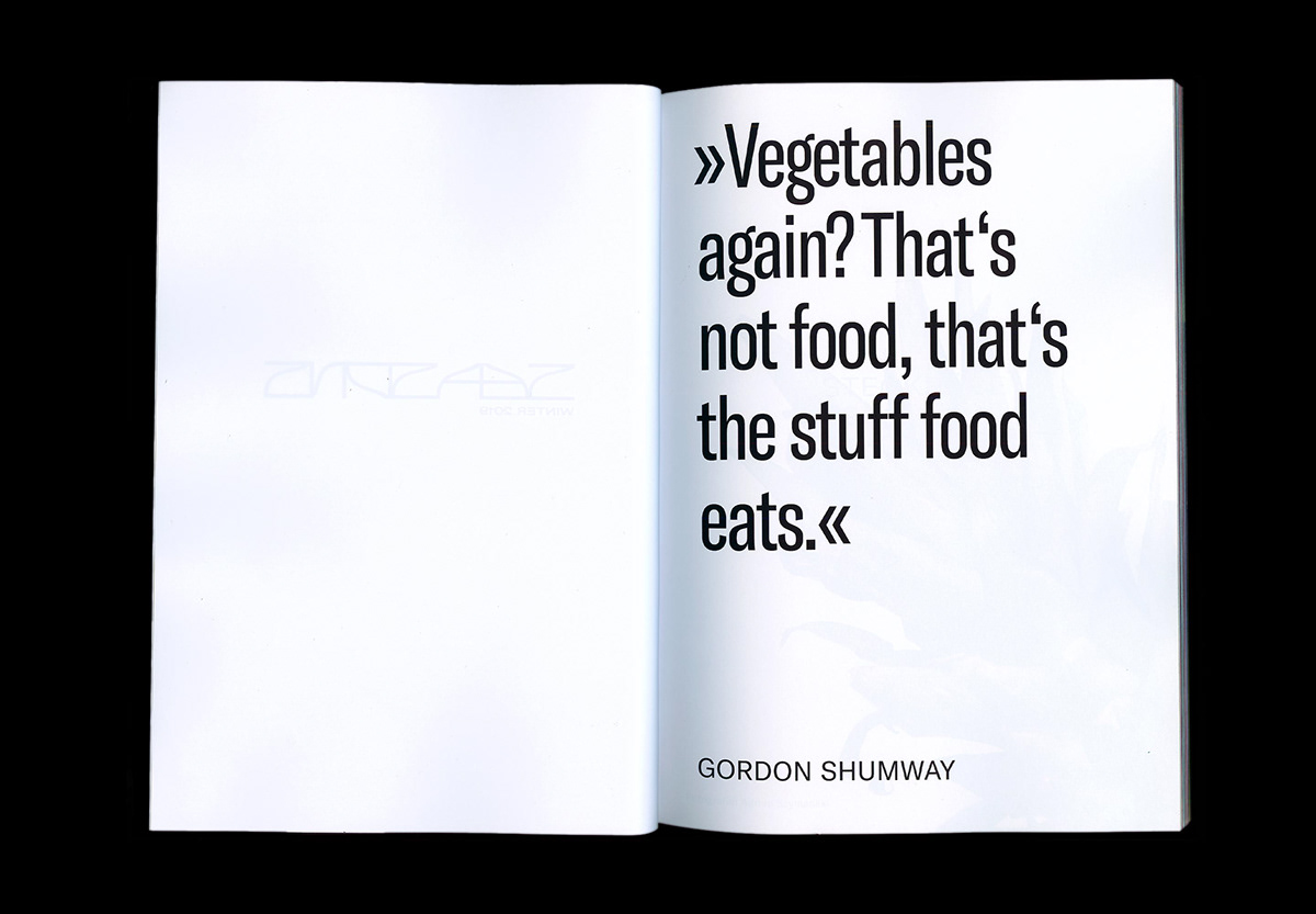 Lookbook magazine vegetables Photography seasonal regional
