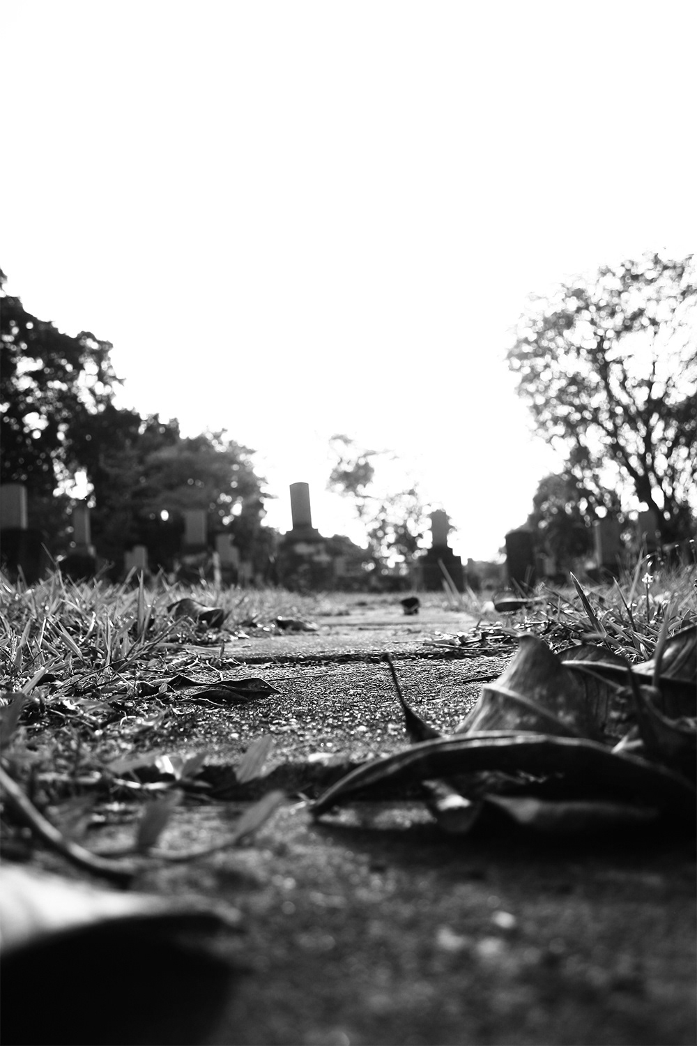 japanese cemetery history Education singapore occupation War grave dead fallen tribute