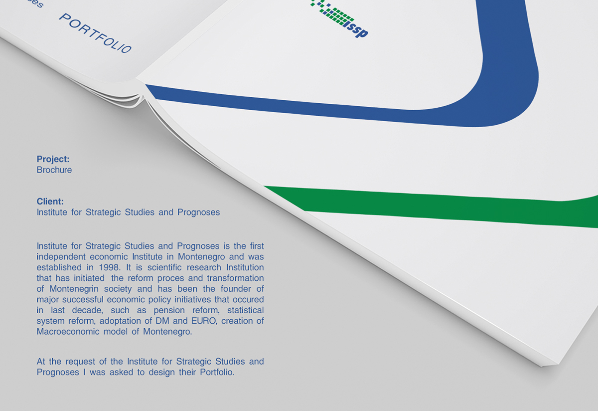 graphic design  brochure branding  economy visual identity vector editorial design  print digital portfolio