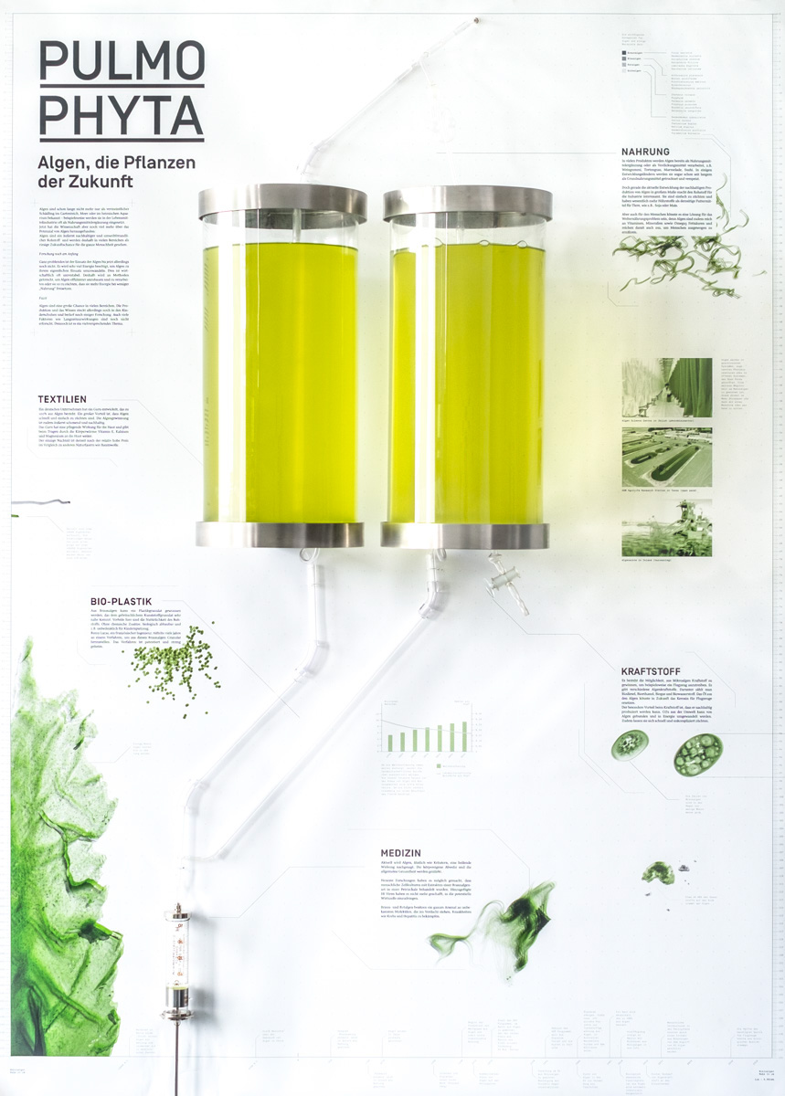 algae algen installation infographic infografik informationsgrafik informationgraphic Exhibition  ausstellung science future Wissenschaft zukunft green grün