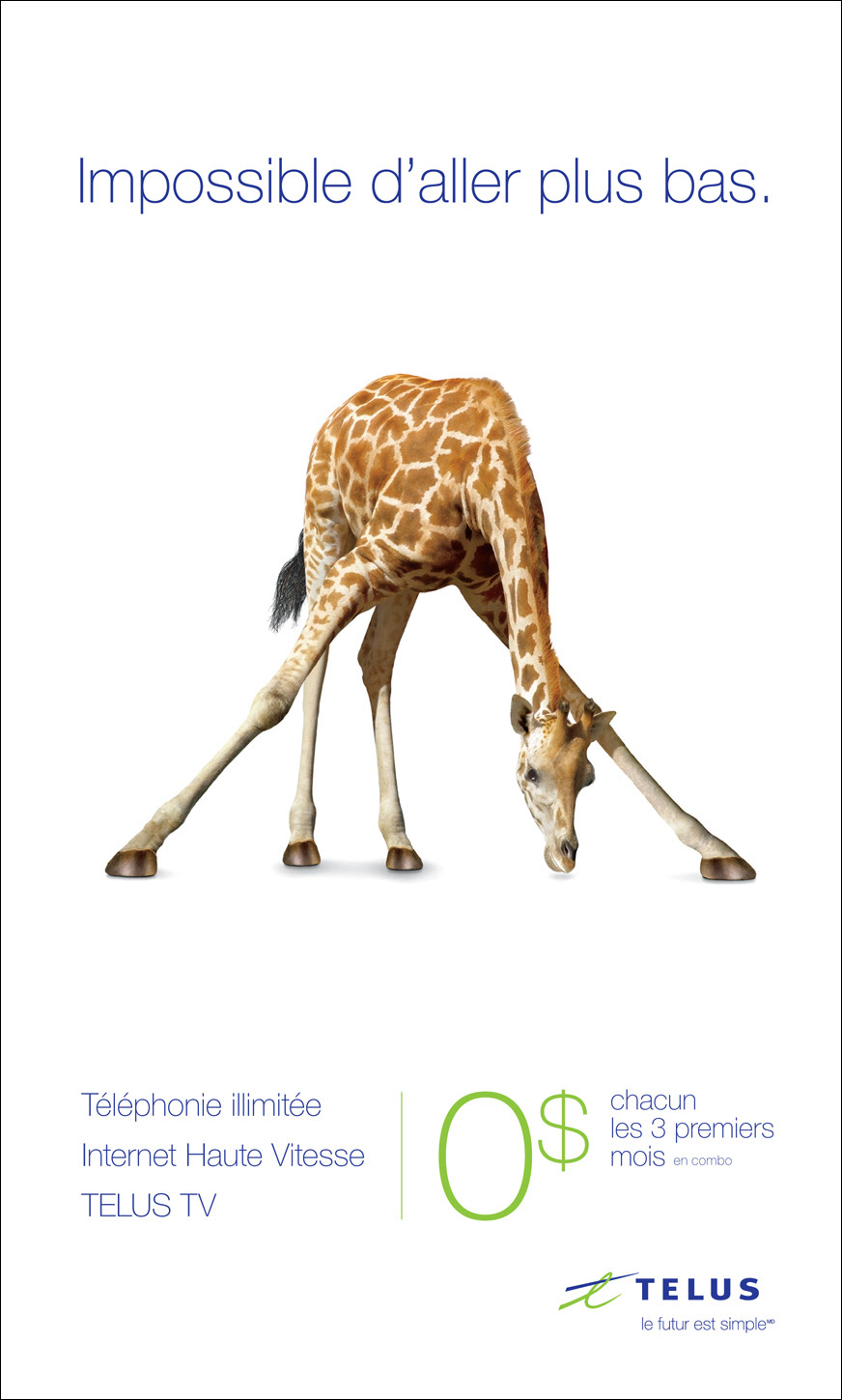 publicité Telus giraffe promo Limbo humor humour Internet tv ad girafe