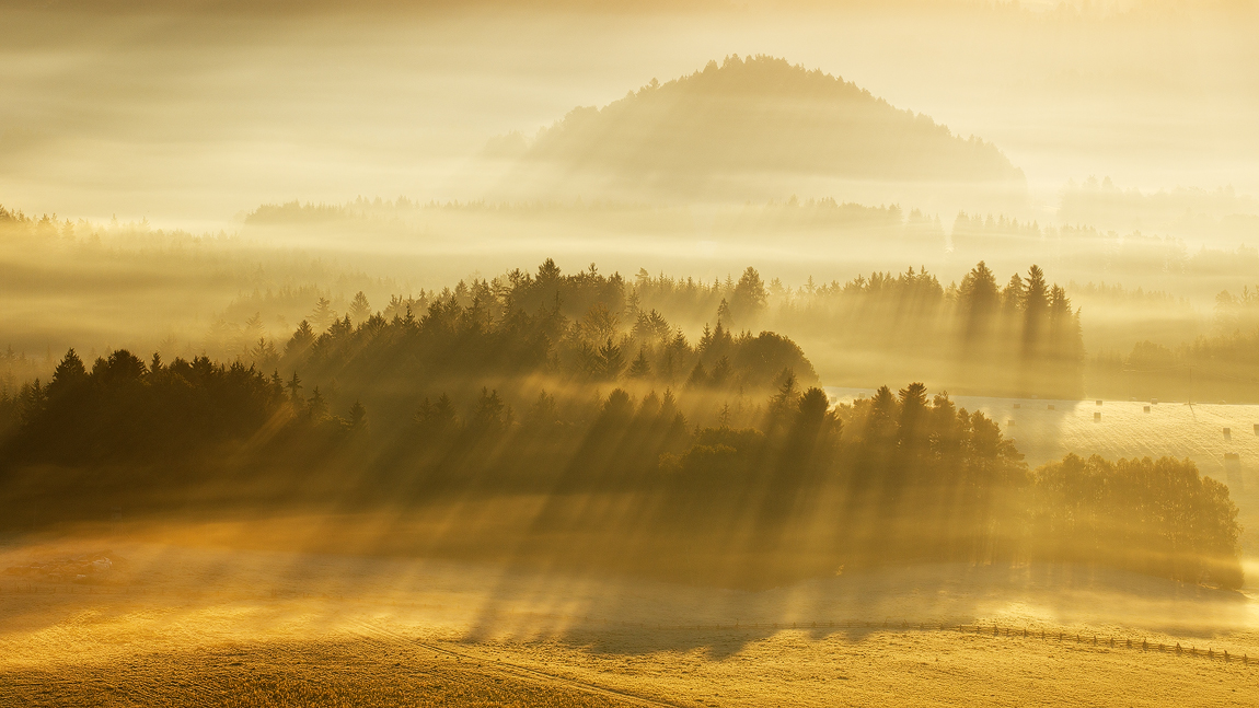 MORNING mist fog light Czech Republic bohemian switzerland hills trees colors