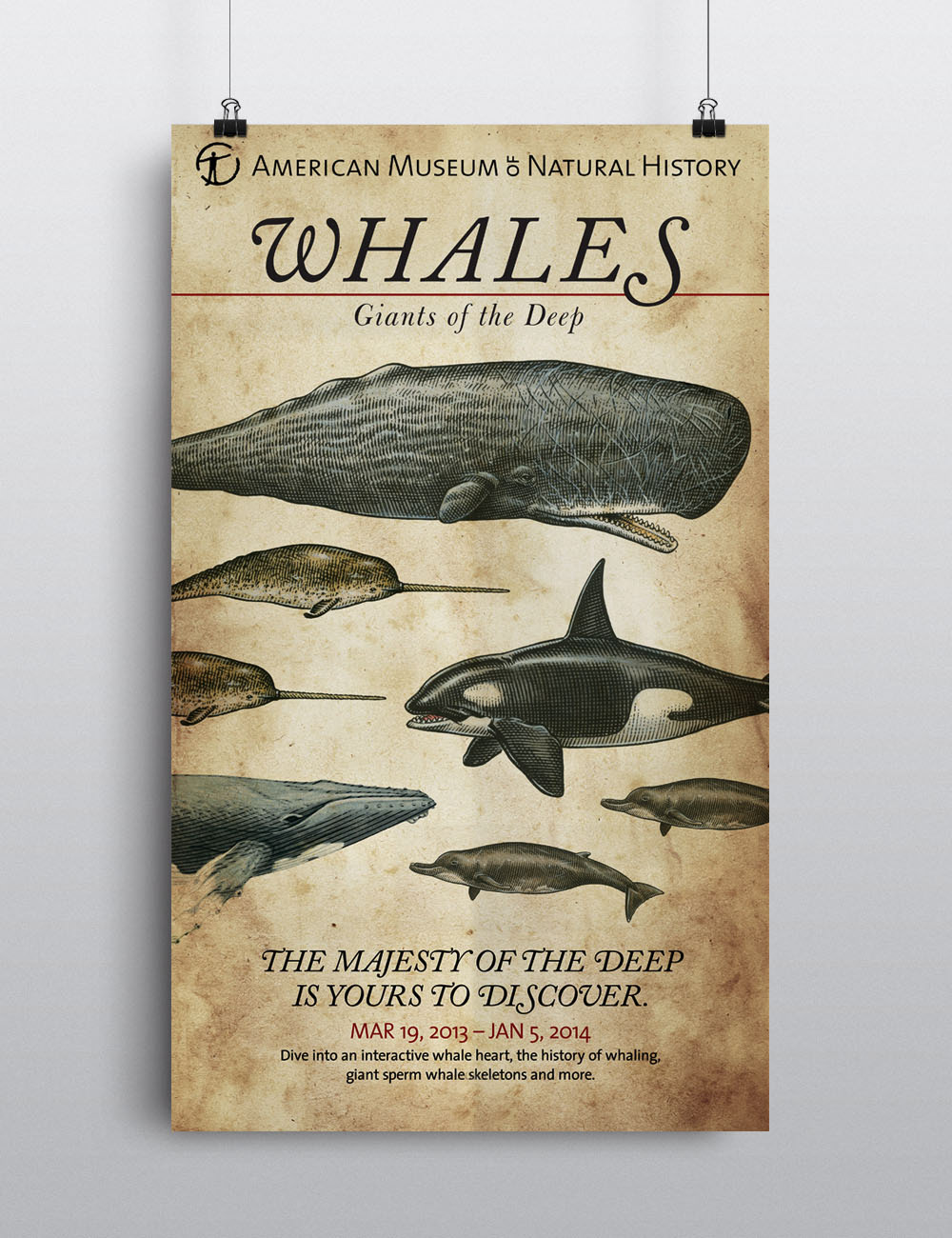 poster museum whales exhibit Show