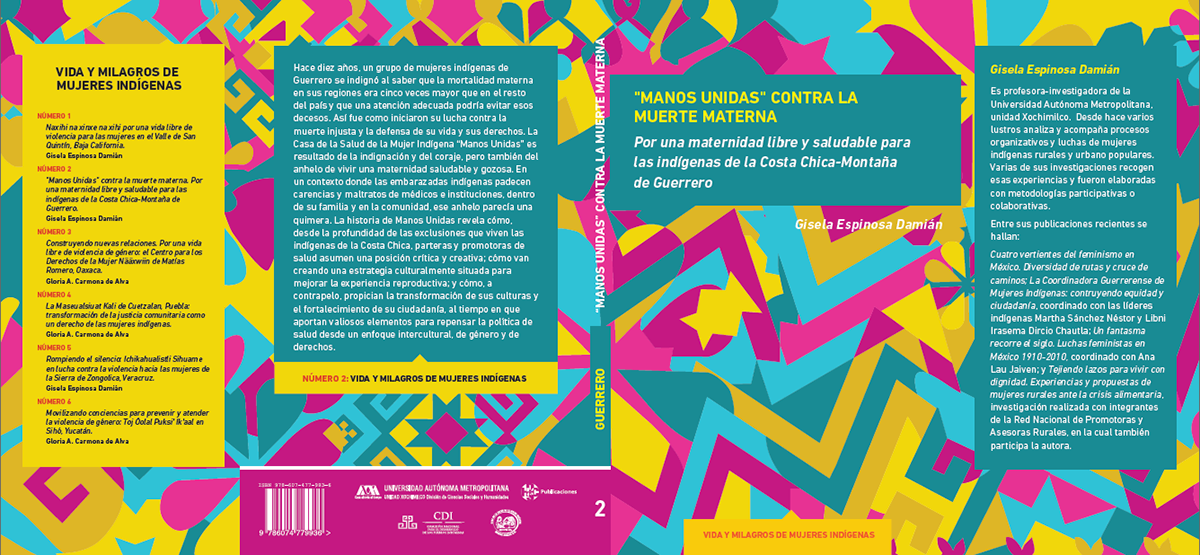 mexico cover Colourful  books ilustrator vector