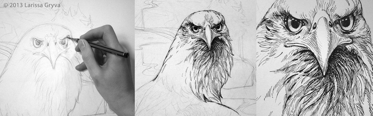 bird graphics artwork ink big pencil paper hand drawn eagle bald vulture monochrome t-shirt pillow