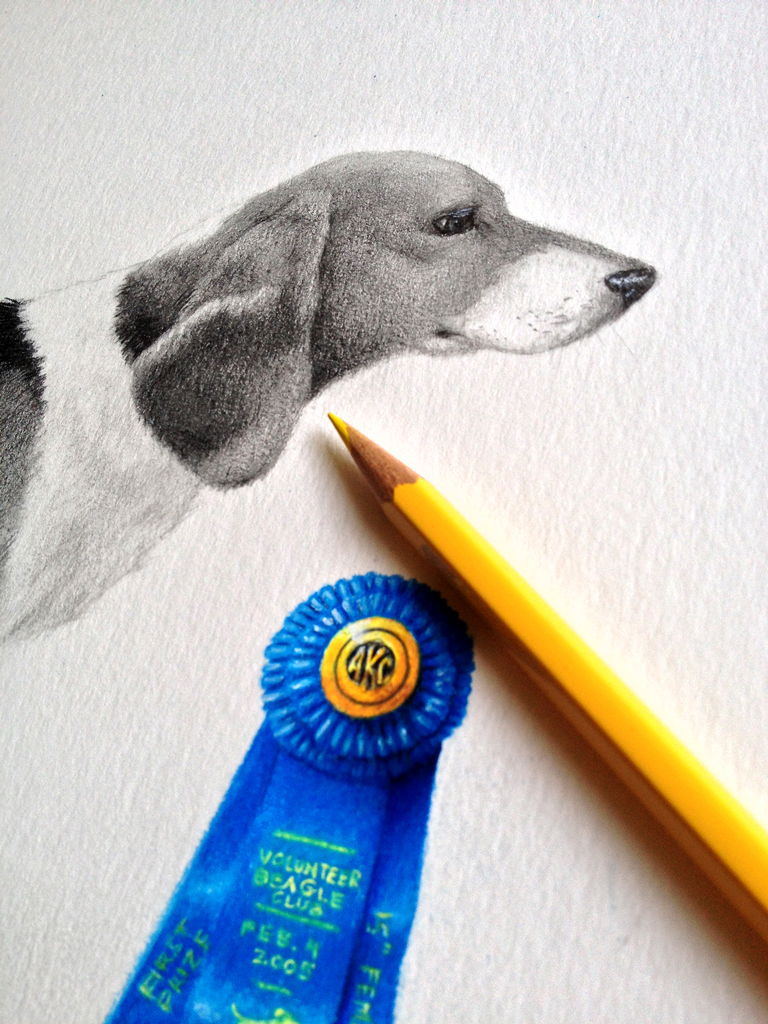 dog portrait Pet Portrait prismacolor graphite beagle