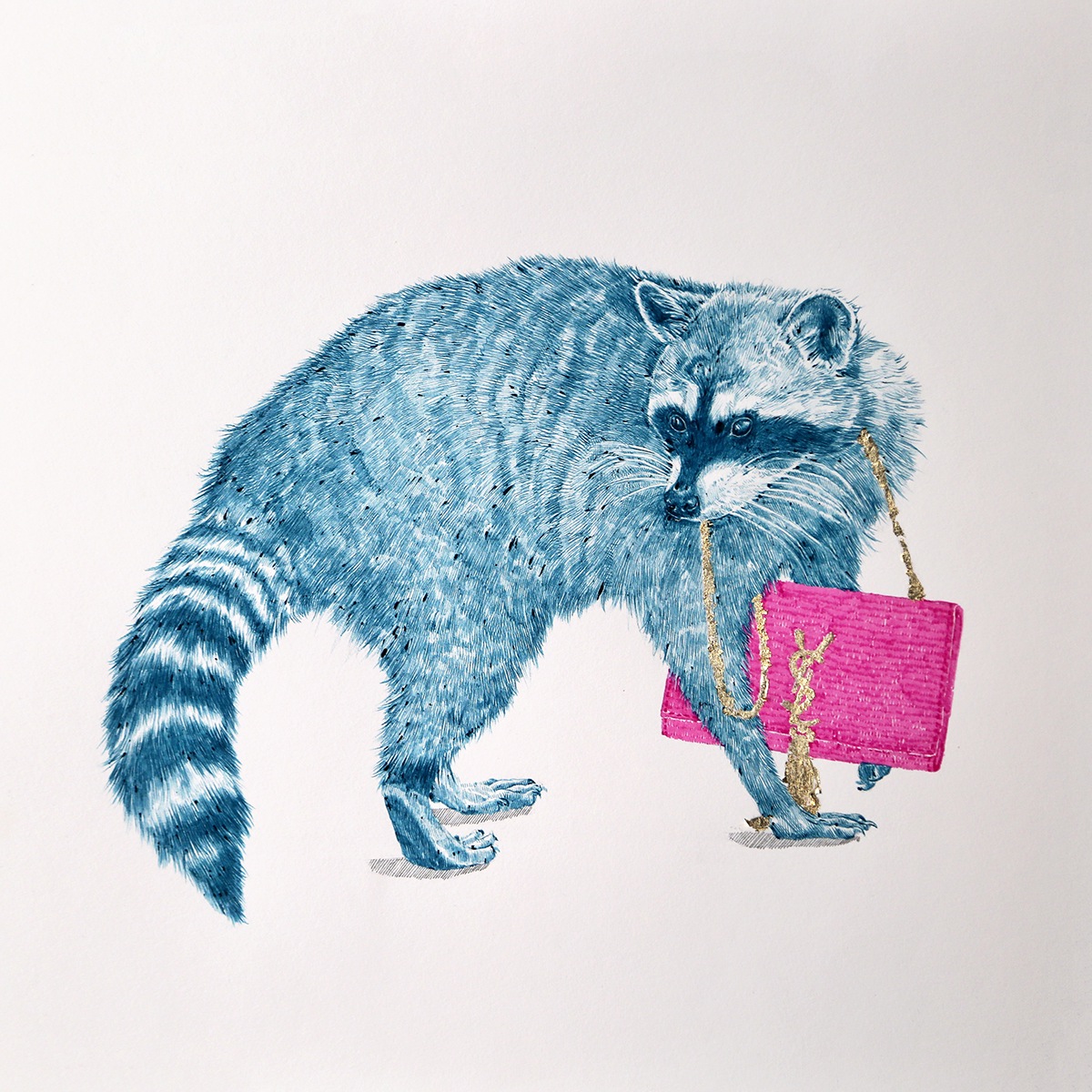 couture bandits raccoon fashion illustration niki pilkington art pencil hand drawn animals