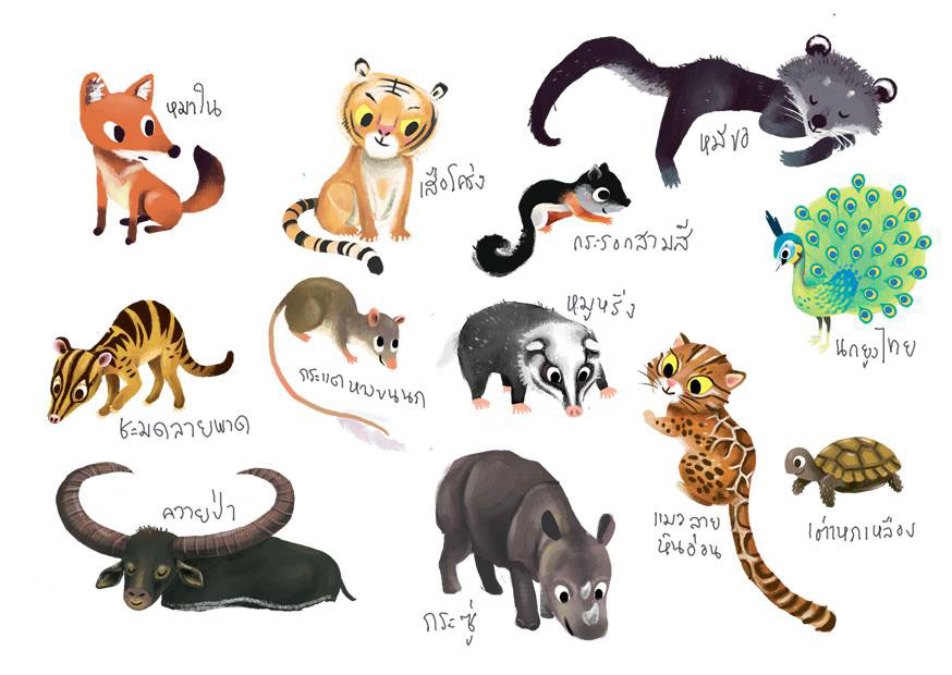 Animals of Thailand on Behance
