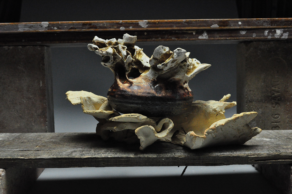 fungus  clay  wheelthrowing  pottery  teapot  pots  texture   earth Cracks  rust