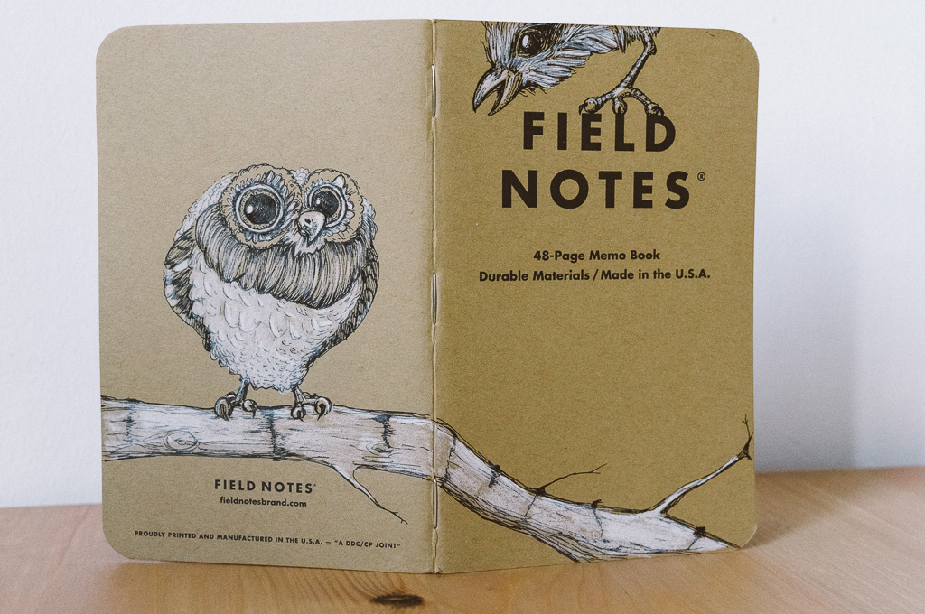 notebook paper fieldnotes