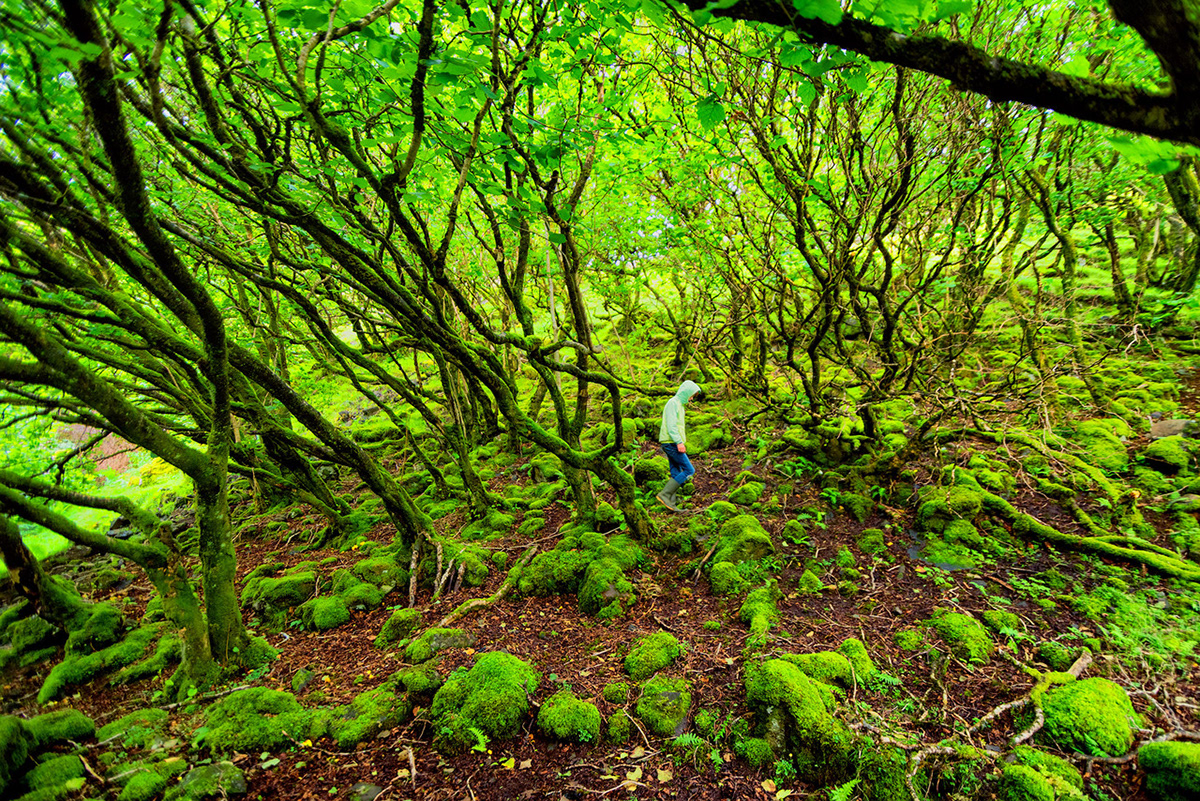 Landscape Highlands green wild Nature scotland